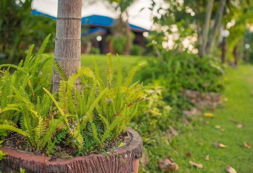 Hotel Mountain View House