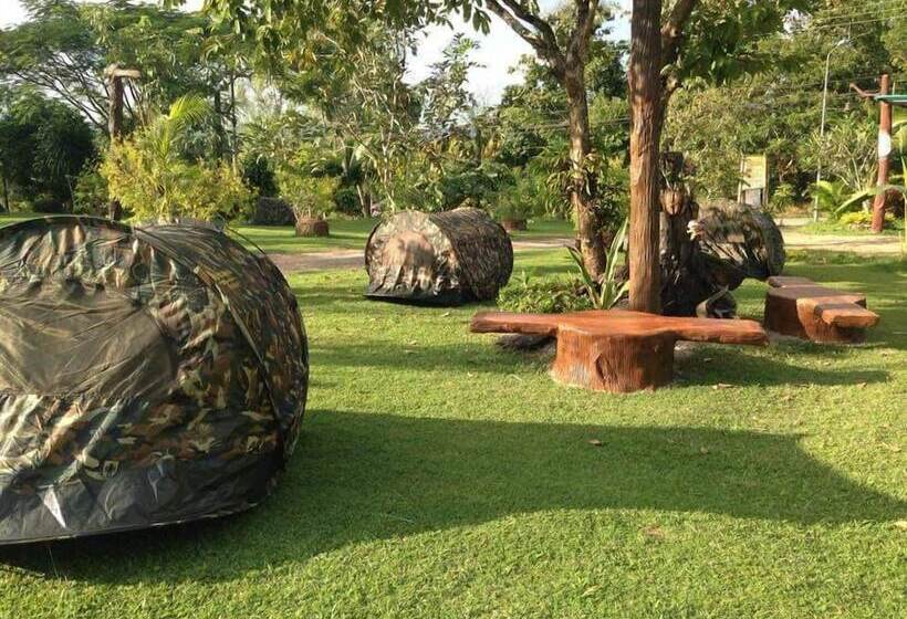 Hotel Mountain View House