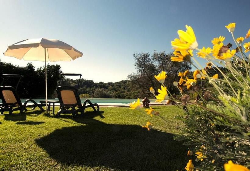 فندق Poggio Sasseta