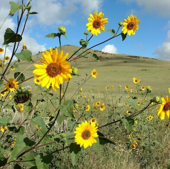 Casa Azul Bed & Breakfast