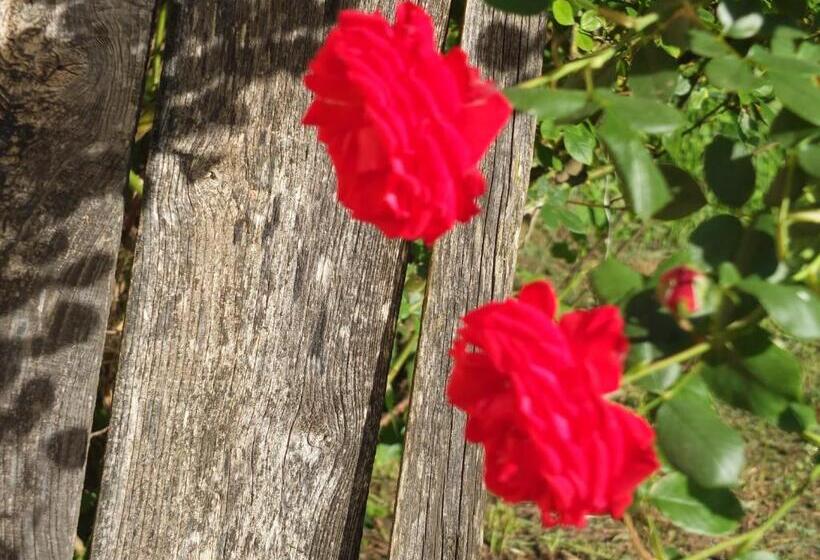 膳宿费 Gîte Et Chambres D Hôtes   Sur Le Chemin Des Sens