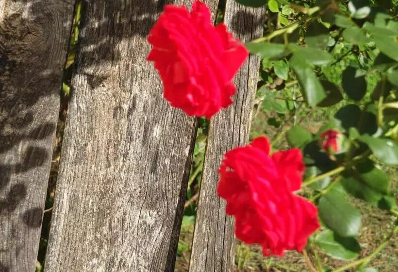 ペンション Gîte Et Chambres D Hôtes   Sur Le Chemin Des Sens