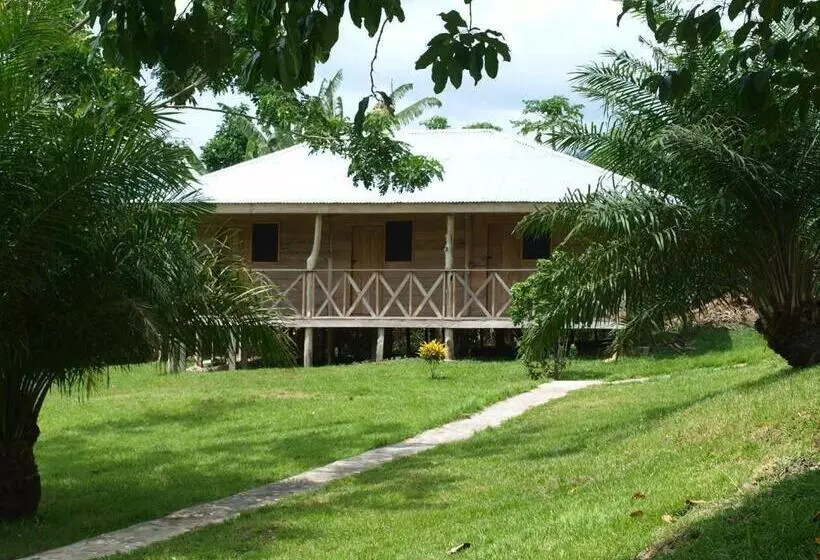 ベッドアンドブレックファースト Cocoa Village Guesthouse