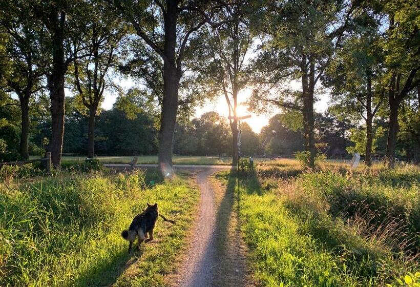 住宿加早餐  De Hiddinghhoeve