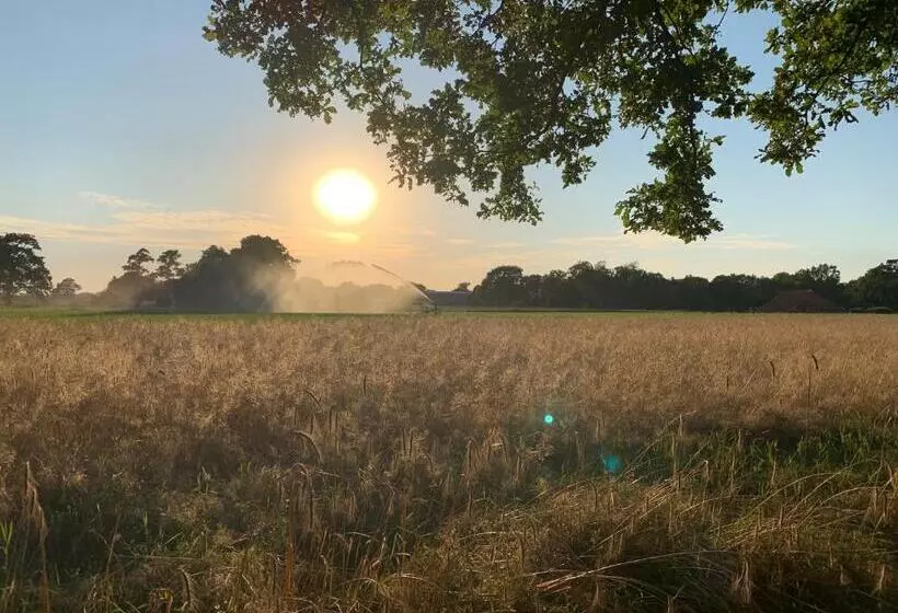 ベッドアンドブレックファースト De Hiddinghhoeve