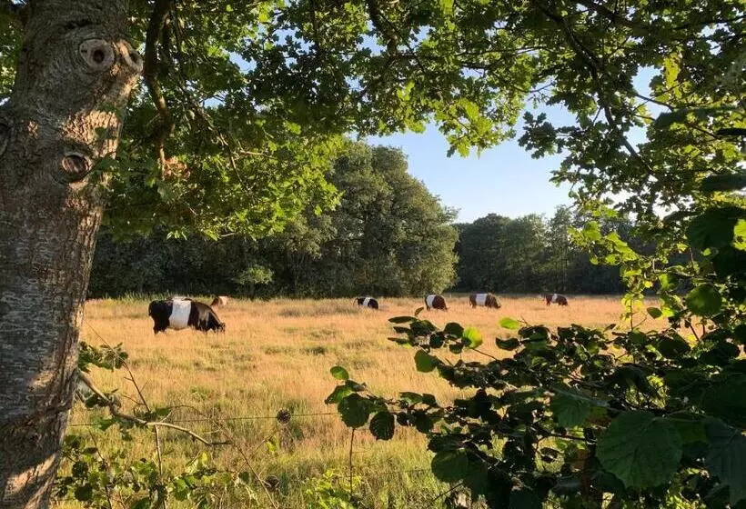 ベッドアンドブレックファースト De Hiddinghhoeve