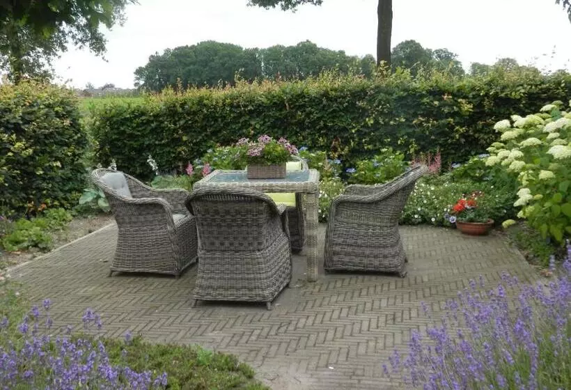 Aamiaismajoitus (B&B) De Hörst