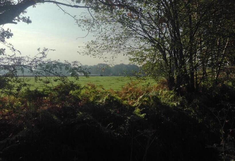 ベッドアンドブレックファースト De Hörst