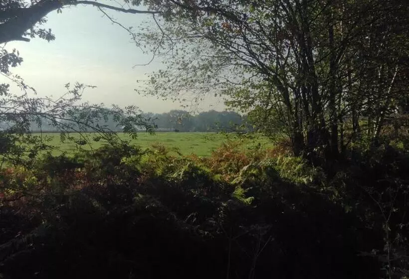 Aamiaismajoitus (B&B) De Hörst