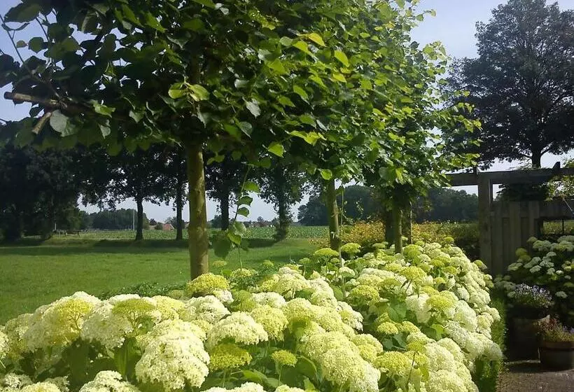 Aamiaismajoitus (B&B) De Hörst