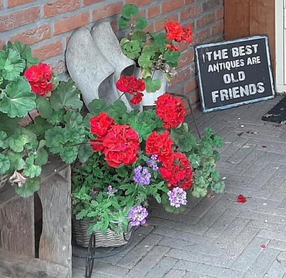 ベッドアンドブレックファースト De Hörst