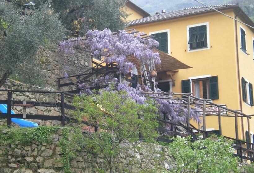 Отель Agriturismo Il Sogno