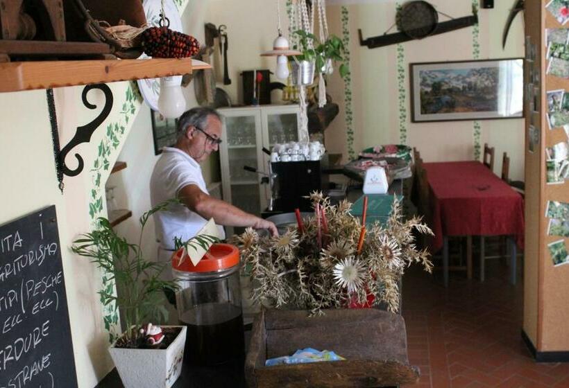 Отель Agriturismo Il Sogno