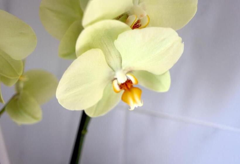 בית מלון כפרי Domaine De La Reposée