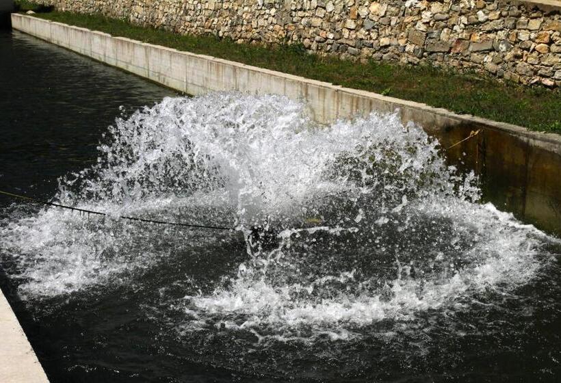 ホテル Fisherman S Hut Family