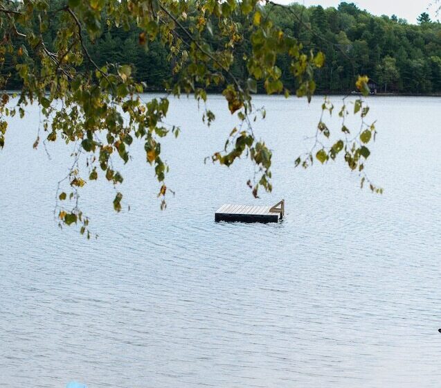 בית מלון כפרי Ogopogo Resort