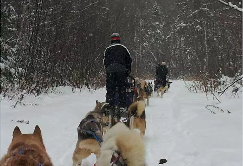 Hotelli Ogopogo Resort