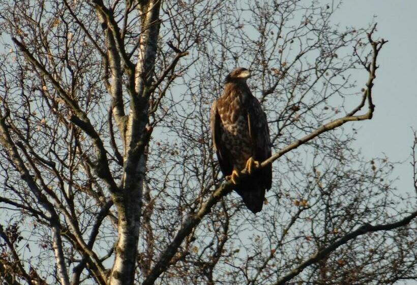 فندق Und Restaurant Am Peenetal