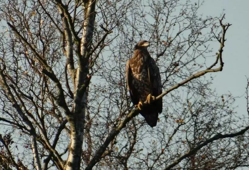 Hotelli Und Restaurant Am Peenetal