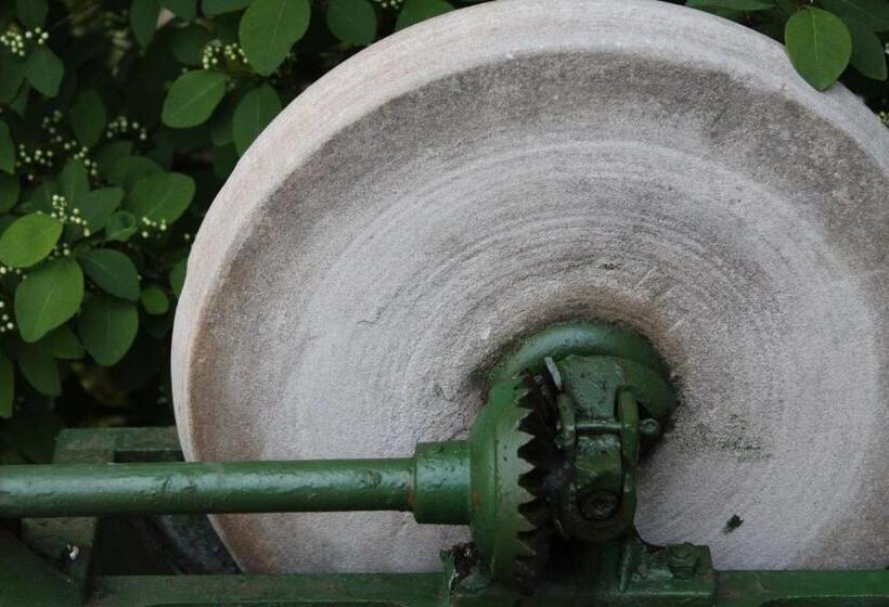 펜션 Gasthaus Hofmann