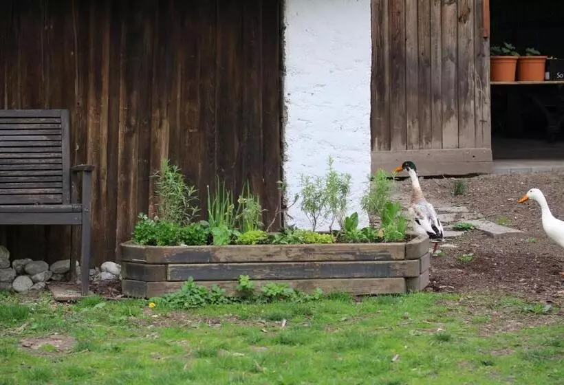 Majatalo Gasthaus Hofmann
