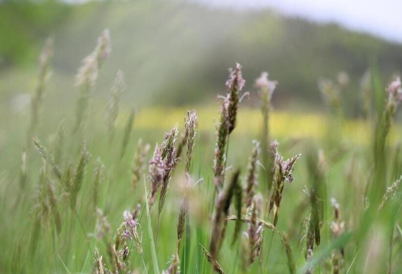 펜션 Gasthaus Hofmann