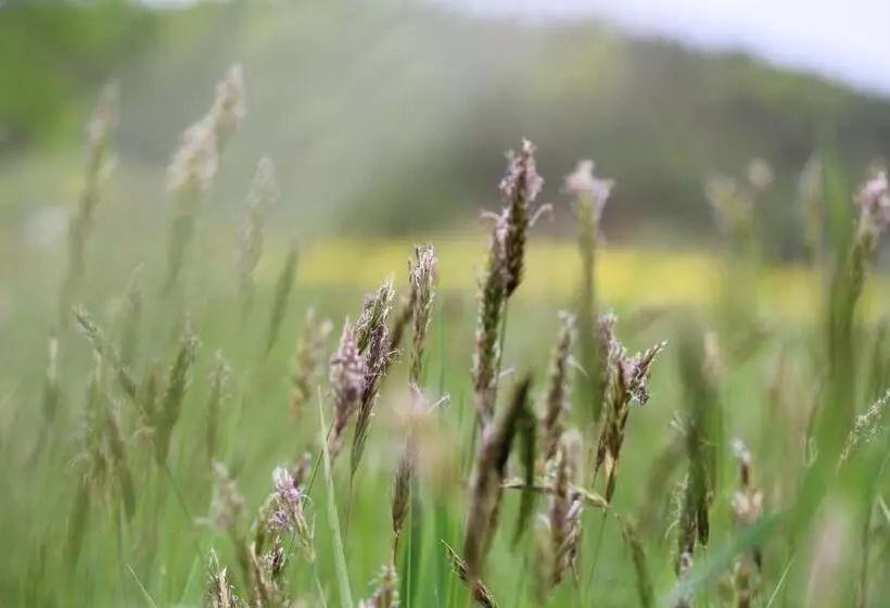Majatalo Gasthaus Hofmann