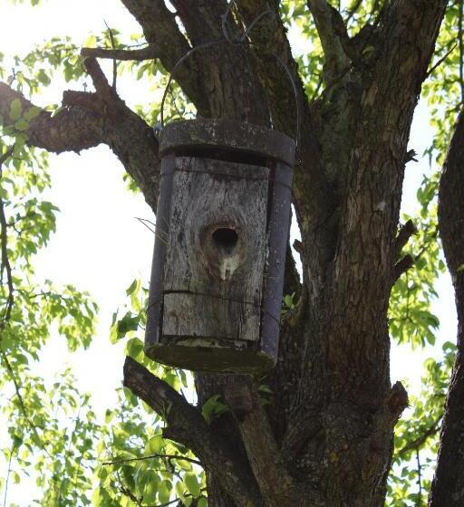 펜션 Gasthaus Hofmann