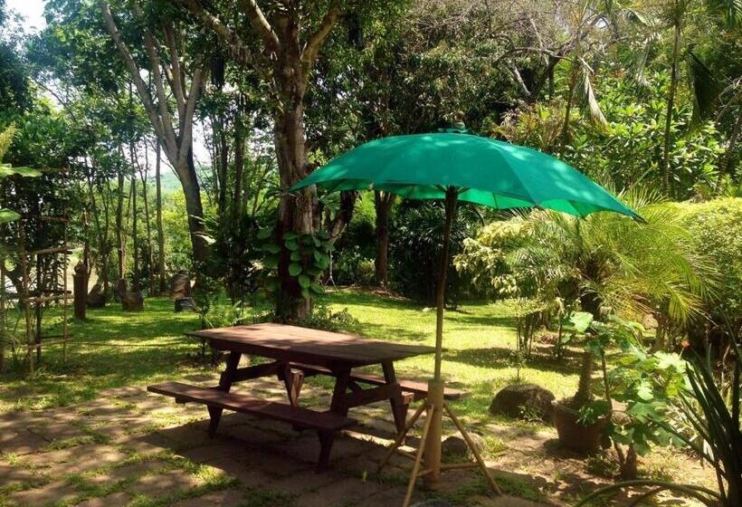 אתר נופש Mekong Villas