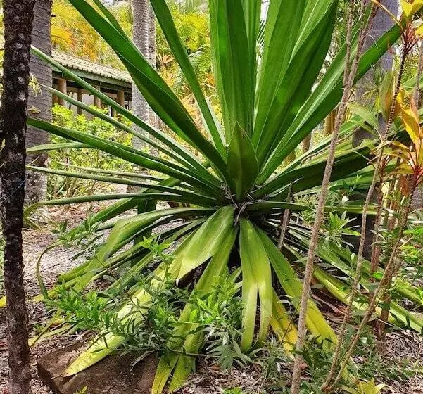 호텔 Ballina Beach Resort