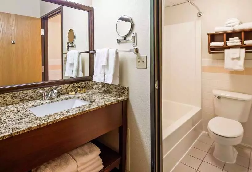 ホテル Best Western Plus Sidney Lodge