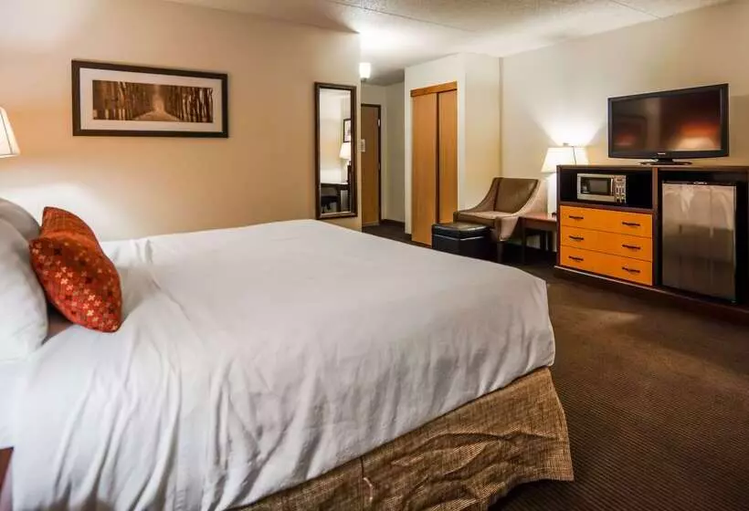 ホテル Best Western Plus Sidney Lodge