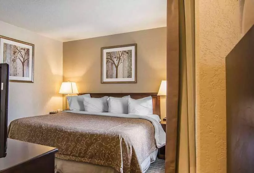 Отель Quality Inn & Suites Yorkton