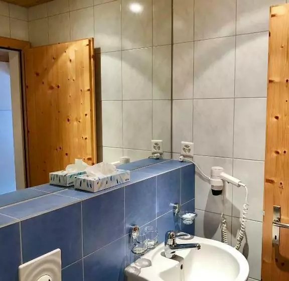 ユースホステル Gasthaus Alpenrose