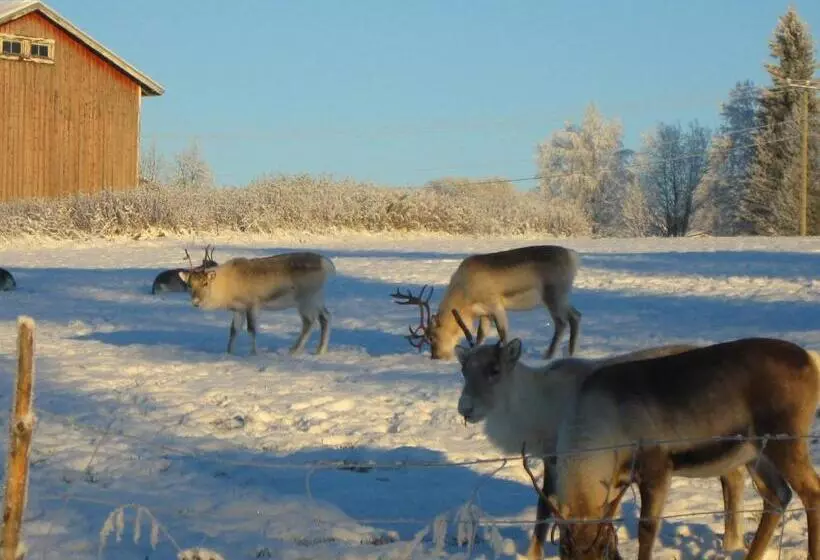 Retkeilymaja Kierinki Village Majatalo