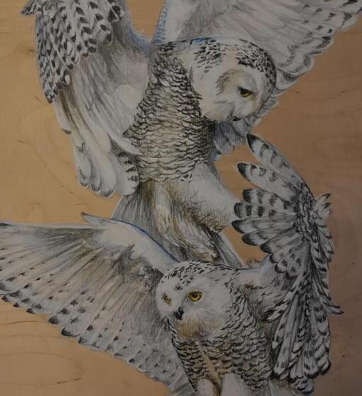 Общежитие Kierinki Village Majatalo