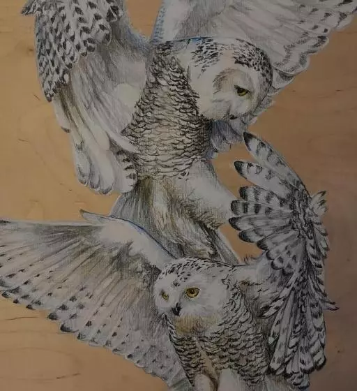 Retkeilymaja Kierinki Village Majatalo