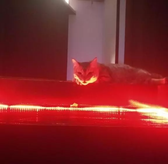 Retkeilymaja Sakura Inn