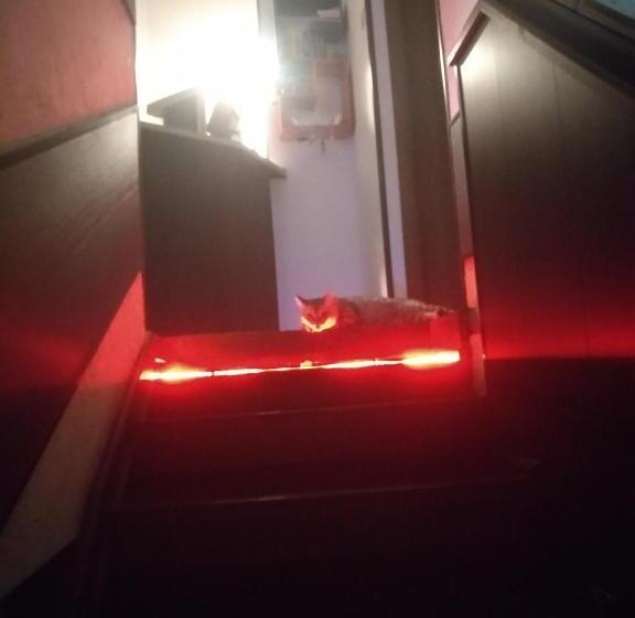 هاستل Sakura Inn