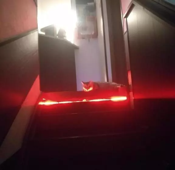 Retkeilymaja Sakura Inn