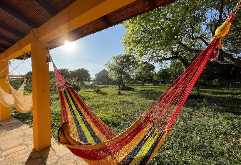 Retkeilymaja Surfing Turtle Lodge