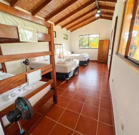 Retkeilymaja Surfing Turtle Lodge