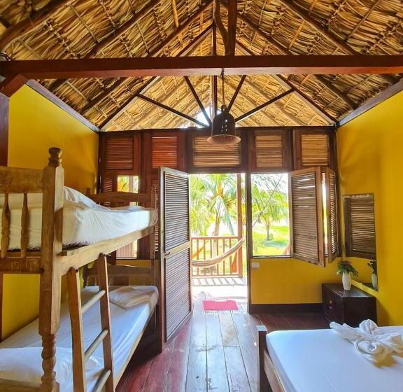 هاستل Surfing Turtle Lodge