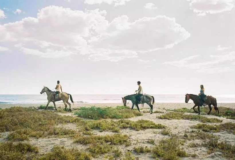 Retkeilymaja Surfing Turtle Lodge