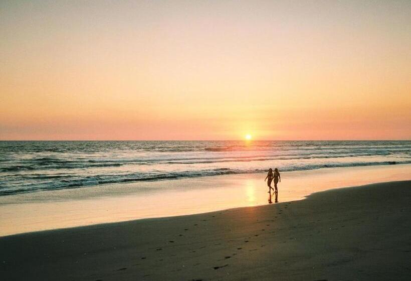 هاستل Surfing Turtle Lodge