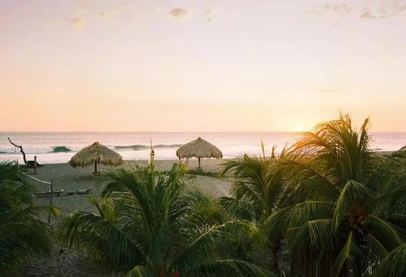 Retkeilymaja Surfing Turtle Lodge