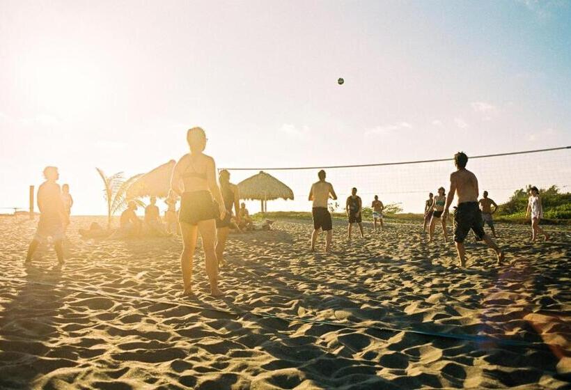 هاستل Surfing Turtle Lodge