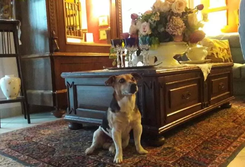 B&b Silvana