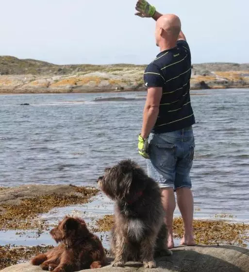 Aamiaismajoitus (B&B) Lådfabriken