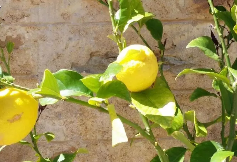 Aamiaismajoitus (B&B) Morialta Barns